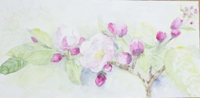 "Kirschblüte" 20 x 40 cm Aquarell, 120 Euro