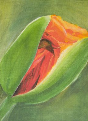"Mohnblüte I", 30x40 cm, Acryl, 140 Euro