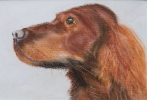 "Setter" 24 x 32 Pastellkreide, 180 Euro